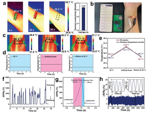 天津大學(xué)劉文廣團(tuán)隊AM 高靈敏度深共晶離子凝膠溫度傳感器